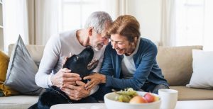 A couple aged 50+ playing with their dog at home