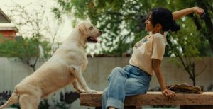 An individual woman playing fetch with her dog in the garden