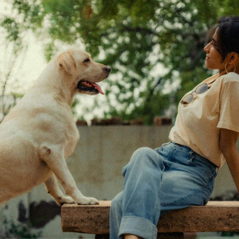 A woman playing fetch with her dog in the garden